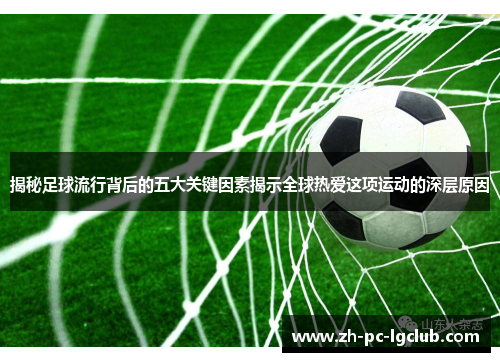 揭秘足球流行背后的五大关键因素揭示全球热爱这项运动的深层原因