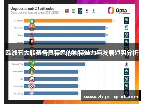 欧洲五大联赛各具特色的独特魅力与发展趋势分析