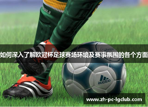 如何深入了解欧冠杯足球赛场环境及赛事氛围的各个方面