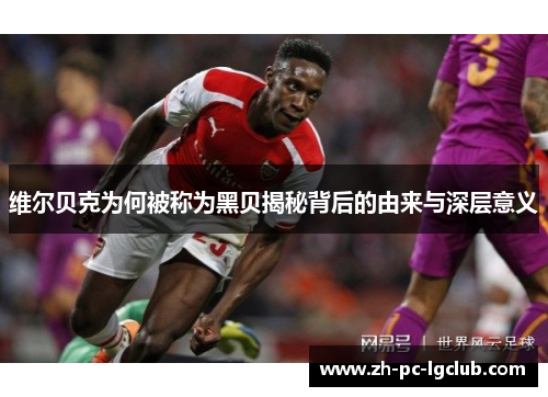 维尔贝克为何被称为黑贝揭秘背后的由来与深层意义