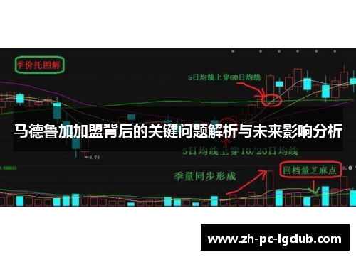 马德鲁加加盟背后的关键问题解析与未来影响分析