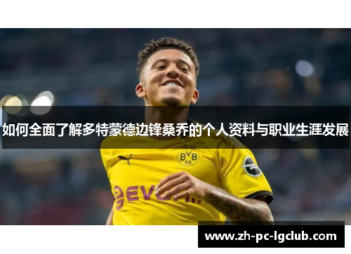 如何全面了解多特蒙德边锋桑乔的个人资料与职业生涯发展