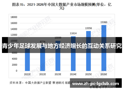 青少年足球发展与地方经济增长的互动关系研究 青少年足球发展与地方经济增长的互动关系研究