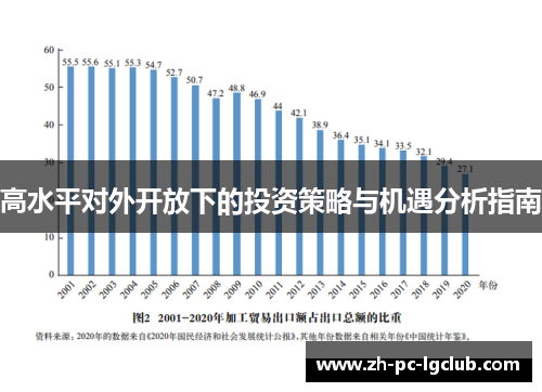高水平对外开放下的投资策略与机遇分析指南